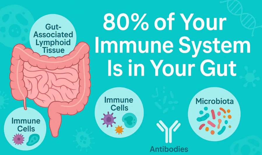 Understanding Your Immune System