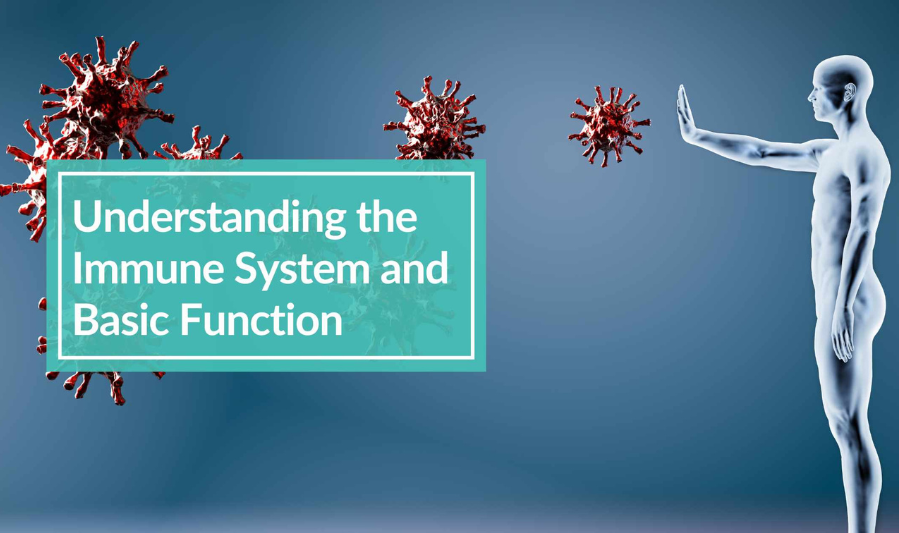 Understanding the Immune System 